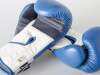 Paffen Sport Boxhandschuhe FIT f&uuml;r das Training blau/weiss 10oz
