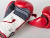 Paffen Sport Boxhandschuhe FIT f&uuml;r das Training rot/weiss 10oz