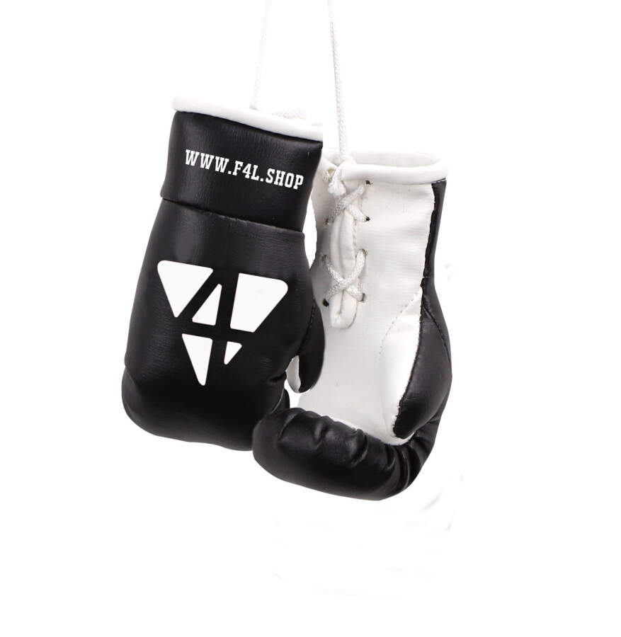 Pro4 Mini Boxhandschuhe schwarz/weiß
