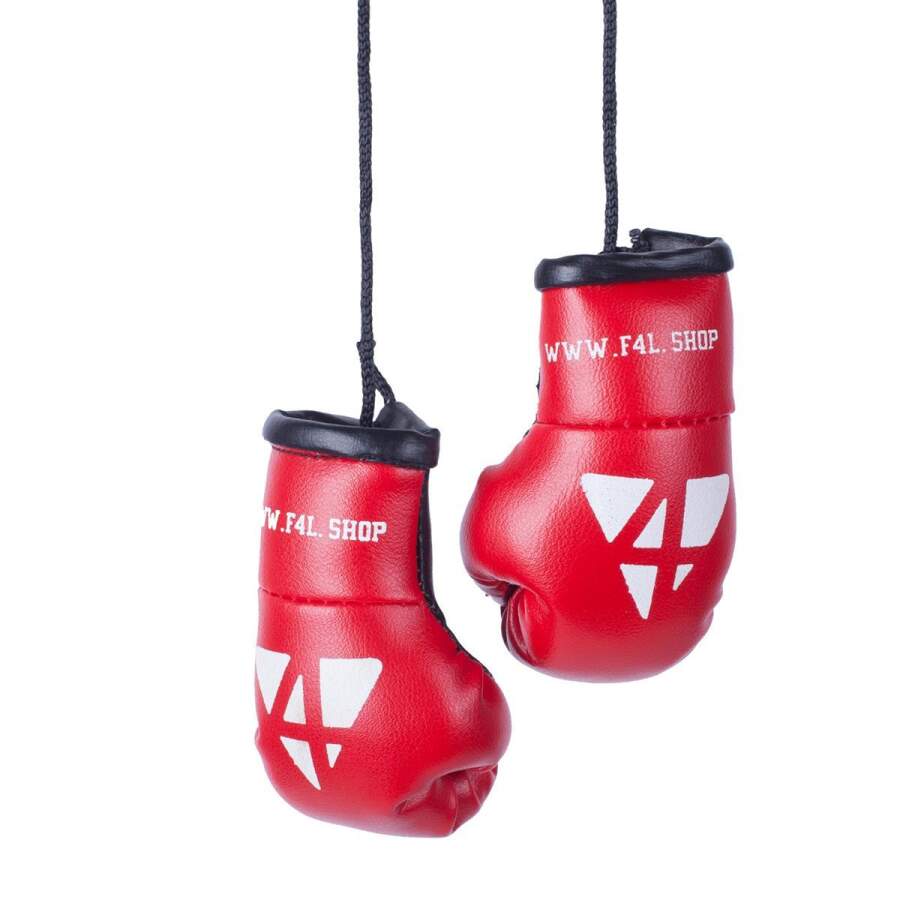 Pro4 Mini Boxhandschuhe rot/schwarz