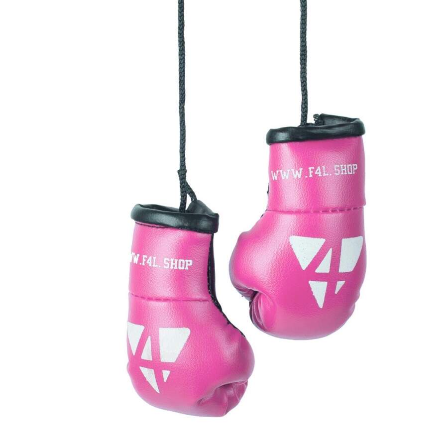 Pro4 Mini Boxhandschuhe pink/schwarz